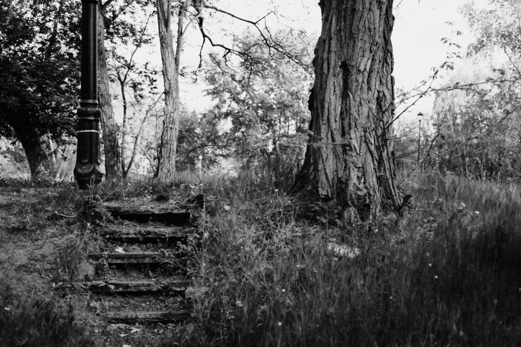 Old steps in the park - freestocks.org - Free stock photo on The Smart Home Buyer